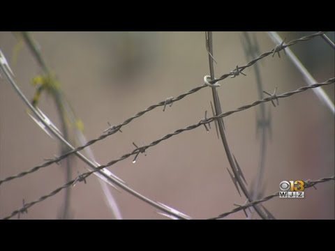 Coronavirus Latest: 136 COVID-19 Cases Within Maryland Correctional System, Including 31 Inmates