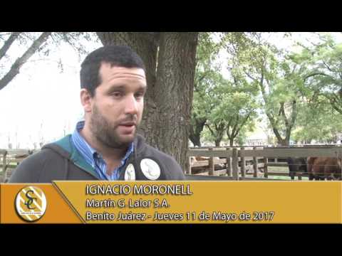 11-05-17 Nota Ignacio Moronell - Martin G. Lalor S.A. - Benito Juárez