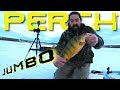 Video Thumbnail for JUMBO Perch! Marcum HD Pursuit Fish Camera! Early ICE 2021