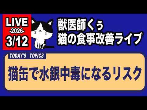【猫の食事改善ライブ】猫缶で水銀中毒になるリスク【アーカイブは3/13まで】