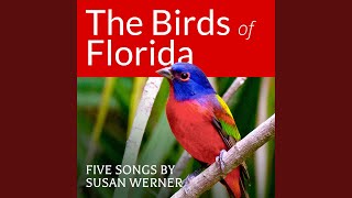 I Could Get Used To This