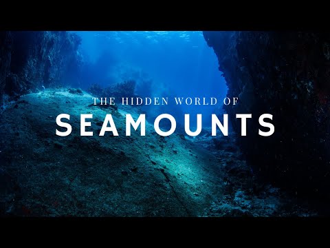 The Hidden World of Seamounts