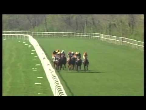 2nd Alfkona Cena spoločnosti OLO