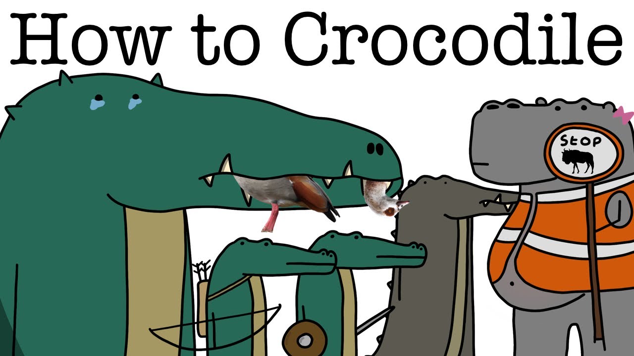 Your Life as a Crocodile