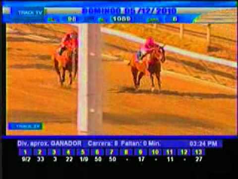 Resumen Domingo, 05 de Diciembre de 2010 - La Rinconada