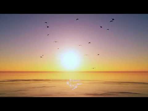 Magician by YAIMA "Earth Day Release"