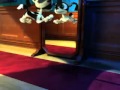 Twisted Whiskers Mirror Dog Mp4