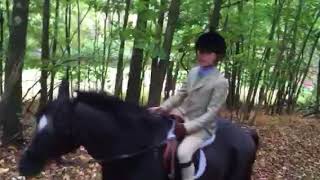 Benny and Vader Foxhunting 2017