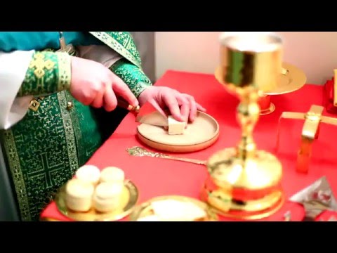 Божественная литургия: 18.12.2015 г.