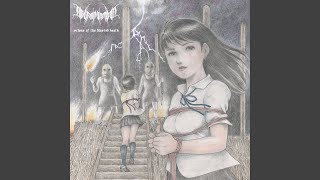 Cover art for The Festival