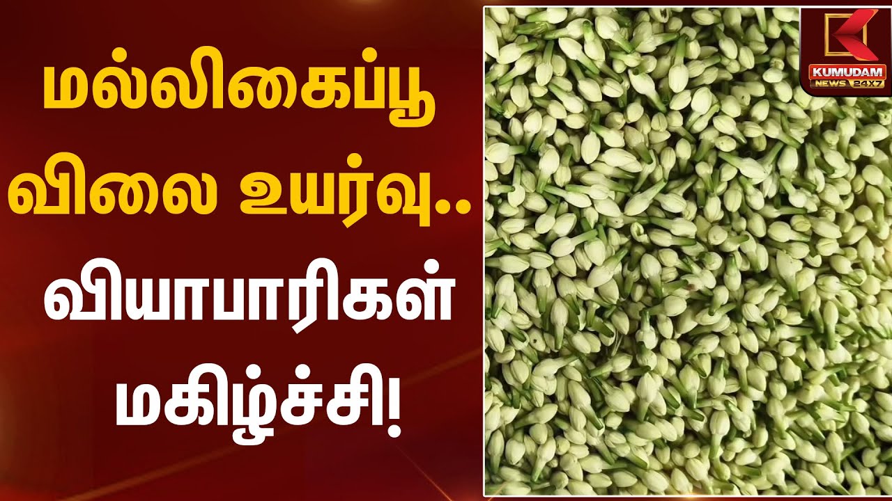Jasmine Flower Price | மல்லிகைப்பூ விலை உயர்வு.. வியாபாரிகள் மகிழ்ச்சி! | Kumudam News