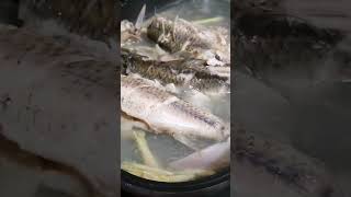 Download lagu Ikan Banta gulai bungai kecala & serai udah mansau mp3 Download lagu Ikan Banta gulai bungai kecala & serai udah mansau mp3