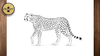 How to draw a cheetah full body easy step by step