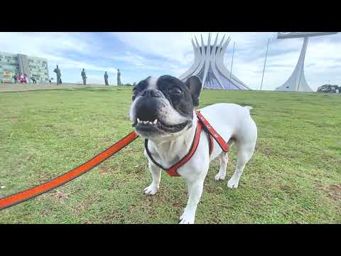 Vlog da Kilica #3 - BRASÍLIA