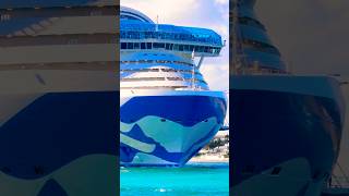 Star Princess 🛳️ #travel #like #subscribe #comment #youtubeshorts #shortvideo #short #shorts #yt
