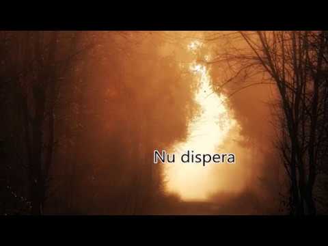 Cornelia Andreika - Nu dispera!