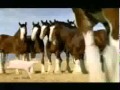 Budweiser Streaker 2006
