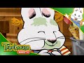 Max Ruby Max Ruby S Perfect Pumpkin Max S Jack O Lantern Max S Big Boo Ep 38