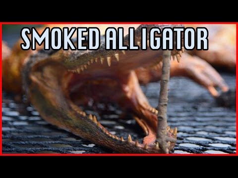 download lagu mp3 mp4 Alligator Leg Recipes, download lagu Alligator Leg Recipes gratis, unduh video klip Alligator Leg Recipes
