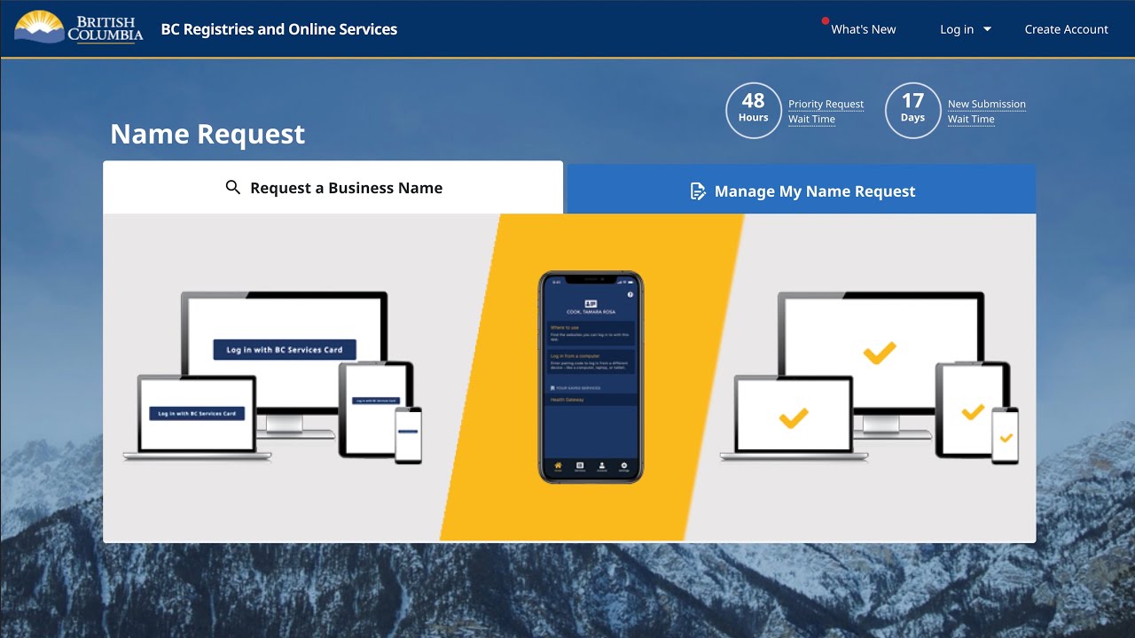 BC Registries & Online Services Individual Basic Account Creation Tutorial 2022