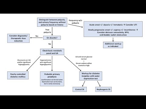 Polyuria polyphagia polydipsia fogyás. Fogyni a tiltott ételek