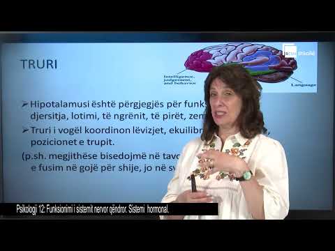 Funksionimi i sistemit nervor. Sistemi hormonal | Psikologji 12