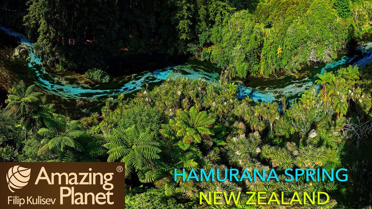 Hamurana Springs, New Zealand: Amazing Planet (4K) 2025