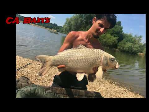 Carp fishing