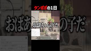 タンポポを必死に育てる配信者 #shorts #ゲーム実況 #そらびび
