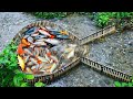 FULL VIDEO Techniques Using Traditional Bamboo To Trap And Catch Fish From Start To Finish