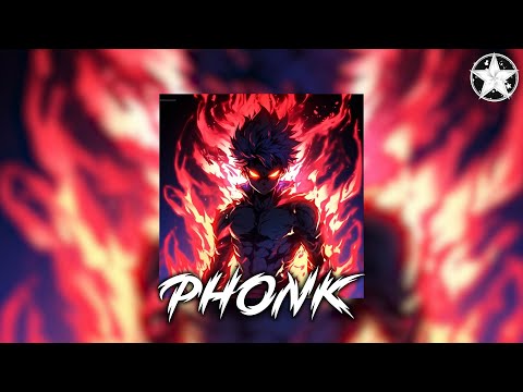 Brazilian Phonk Mix 2025 ※ Best Baile Funk ※ Tik Tok Viral Phonk Music Mix #730