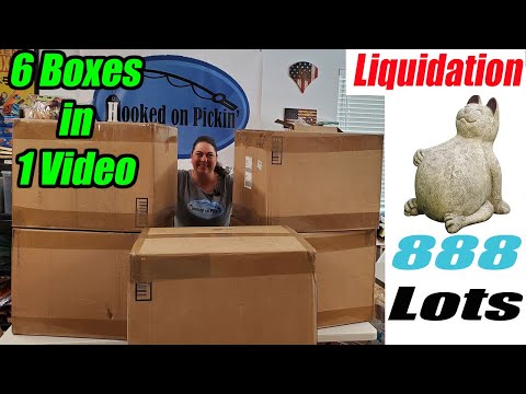 Unboxing Liquidation from 888 Lots We Found a FAT CAT What Else Did We find in these 6 Big Boxes