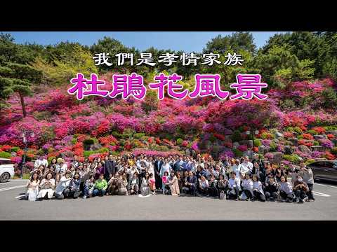 [ 我們是孝情家族! 006 ] 杜鵑花風景