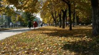 preview picture of video 'Rostov-na-Donu'
