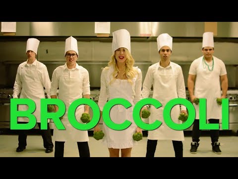 Rocket Surgeons - The Broccoli Song (Official Music Video)
