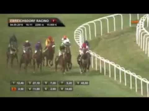 Curlin Colt Lands Austrian Derby