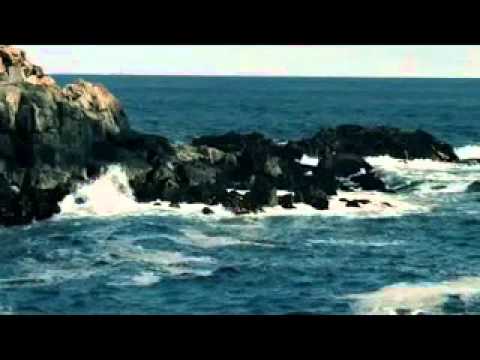 IL MARE - SERGIO BRUNI -.