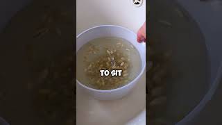 How I Process Citrus Seeds (Bitter Orange / Seville Orange) #bitterorange #fruit