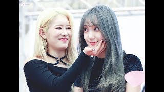 PRISTIN's Roa x Rena Part 9 (Flower - Lizzy)