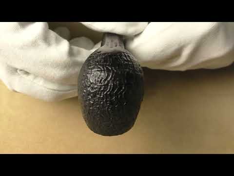 Dunhill Shell Briar 4101 - pipe G096