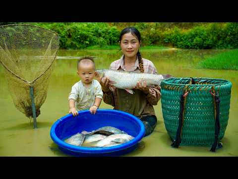 Catching giant wild fish in abandoned mud ponds - Cooking and a simple life.