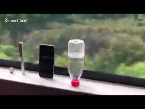 Chinese Bullet Train Coin Balance Test At High Speed