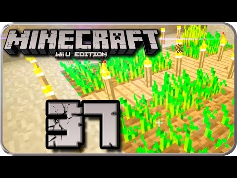 Let's Play MINECRAFT: Wii U EDITION Part 37: Jauchzet, das Weizenfärmchen ist fertig!