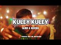 Kuley Kuley Slowed Reverb Honey 3 0 Yo Yo Honey Singh Apache Indian Honeysingh Kuleykuley