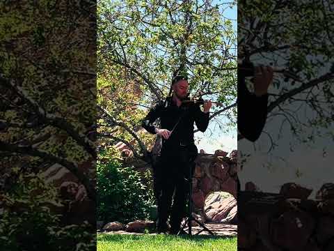 Violin Cover - Lady Gaga, Bradley Cooper - Shallow (from A Star Is Born) #violin #violincover