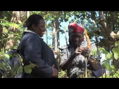 Shoulder to Shoulder with Fonkoze: Accompaniment