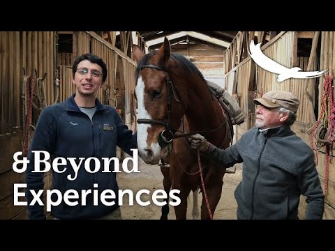 Horseback riding through the Cañi Natural Reserve | Chile