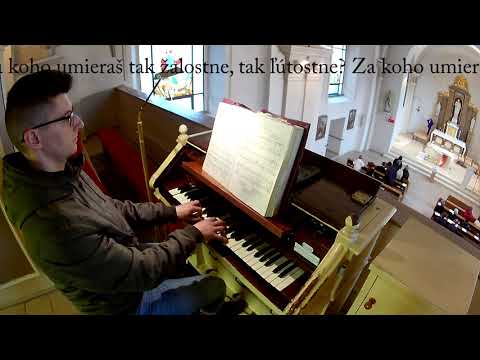 JKS 149 - Nevinnosť premilá