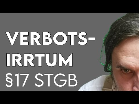 Verbotsirrtum §17 StGB