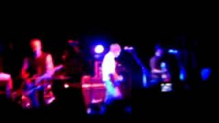 Gyroscope - snakeskin